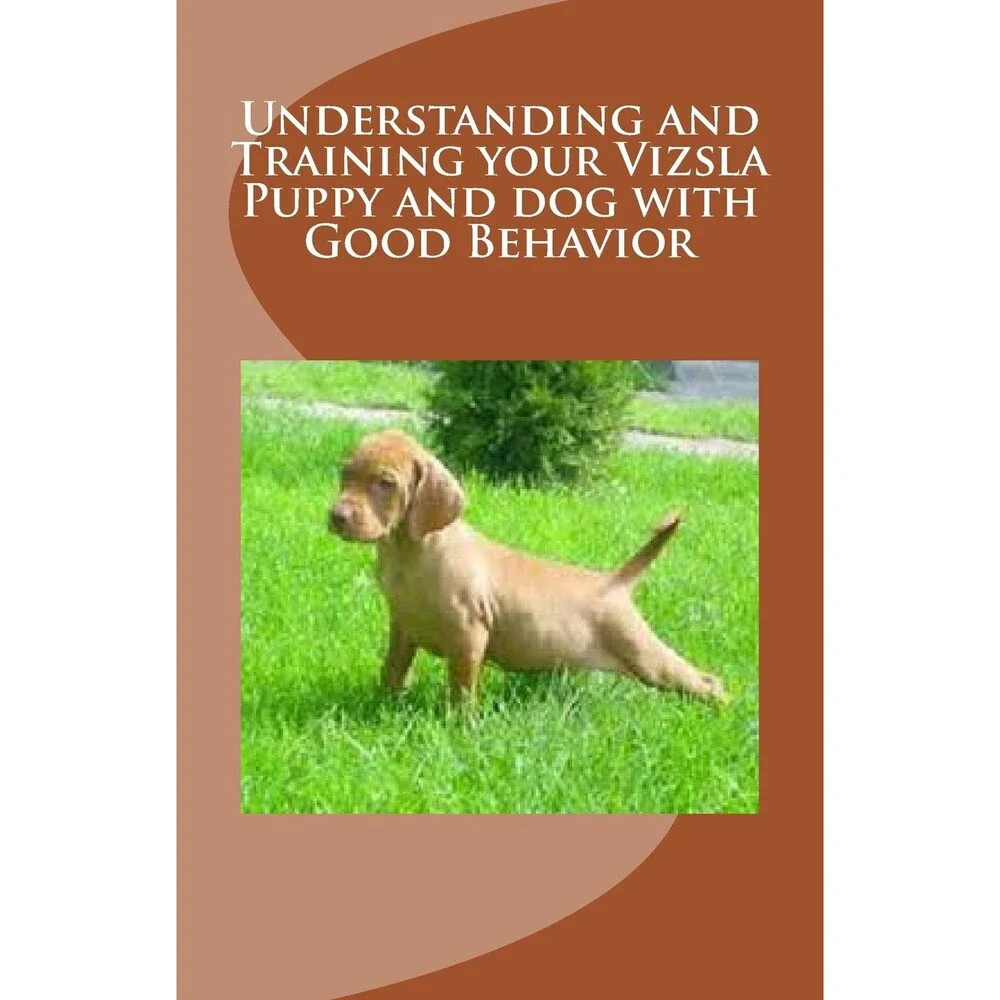 Understanding and Training your Vizsla Puppy and dog with Good Behavior
